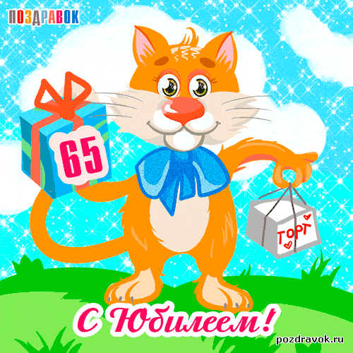    65 